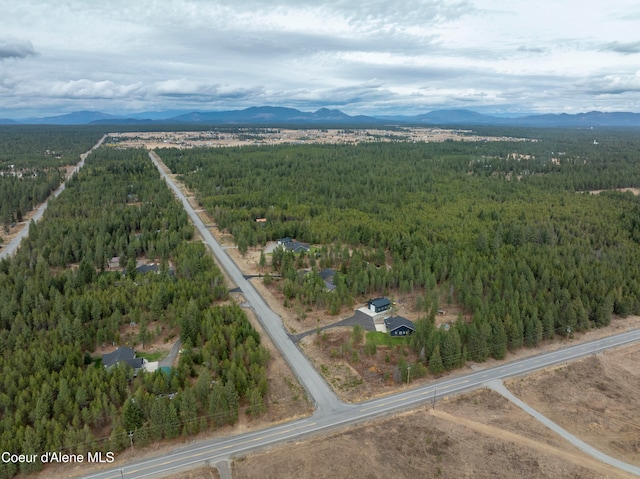 drone / aerial view with a mountain view