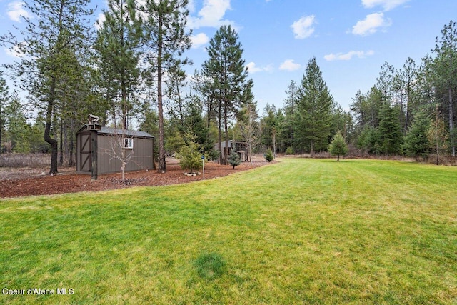 view of yard featuring a storage unit