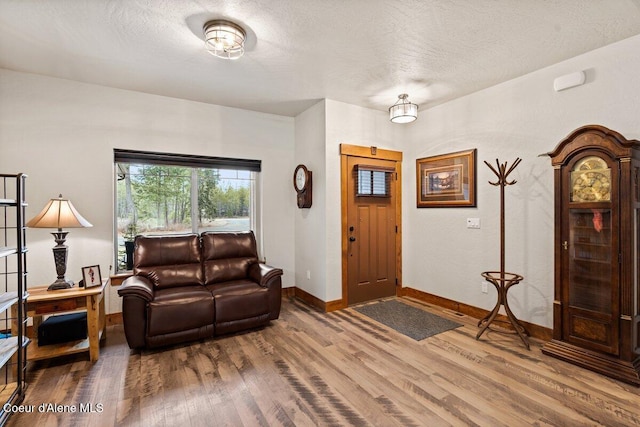 living room featuring a textured ceiling and hardwood / wood-style flooring