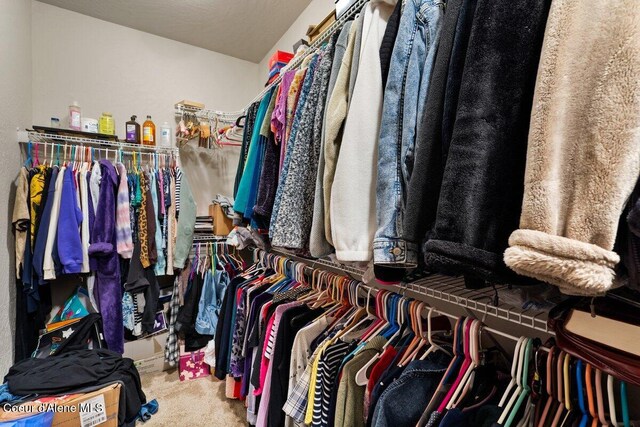 spacious closet featuring carpet flooring