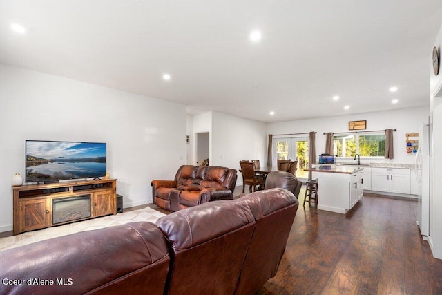 living room featuring sink and dark wood-type flooring