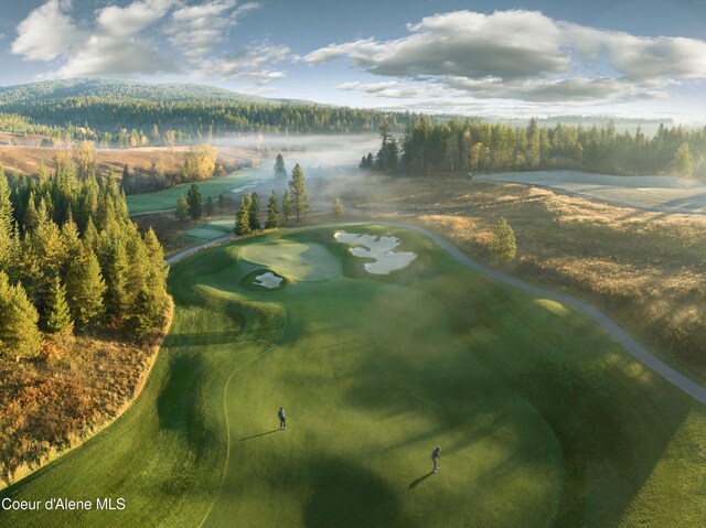 15374 S Chalone Dr, Coeur Dalene, ID 83814 - surrounding community with view of golf course and a forest view