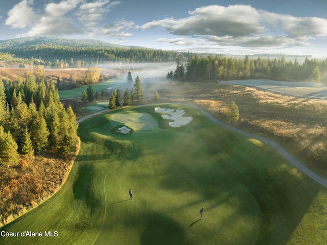 15374 S Chalone Dr, Coeur Dalene, ID 83814 - view of property's community with golf course view and a mountain view