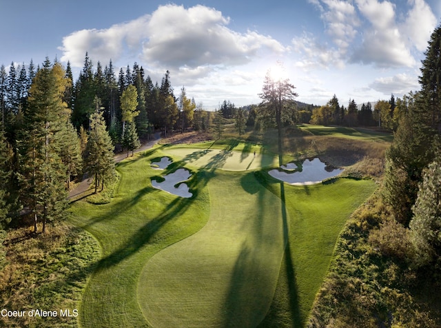 15374 S Chalone Dr, Coeur Dalene, ID 83814 - surrounding community with a water view