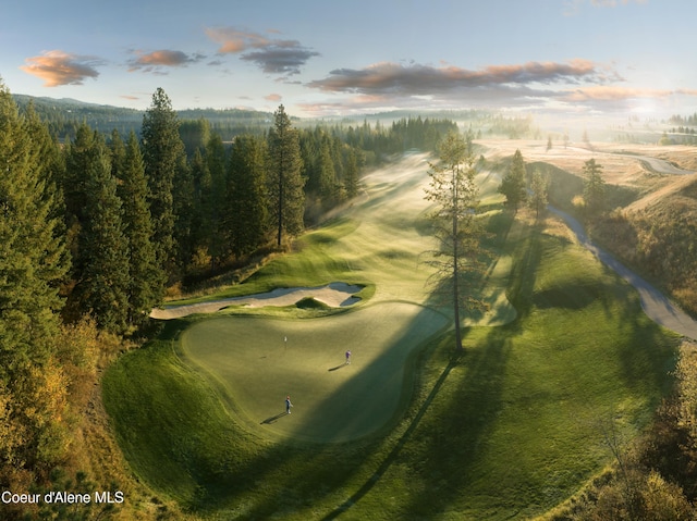 15374 S Chalone Dr, Coeur Dalene, ID 83814 - bird's eye view