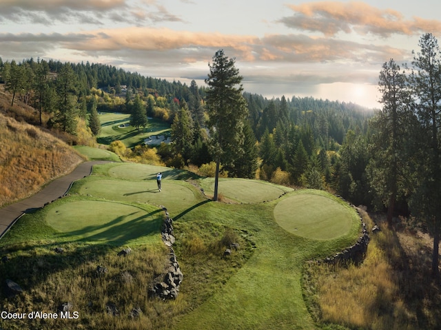 15374 S Chalone Dr, Coeur Dalene, ID 83814 - view of property's community featuring view of golf course and a view of trees