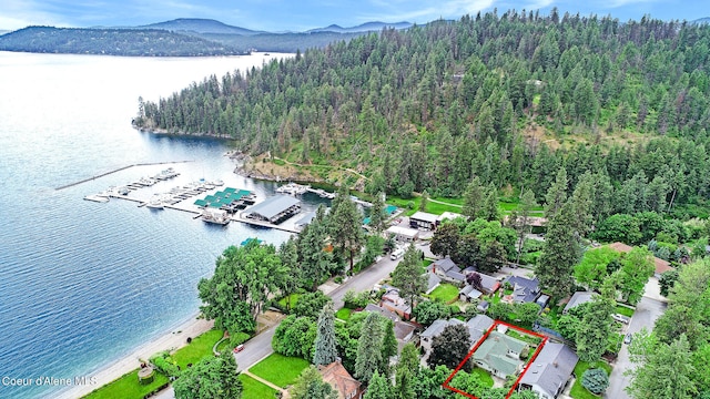 bird's eye view with a water and mountain view