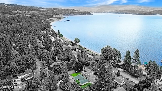 birds eye view of property featuring a water and mountain view