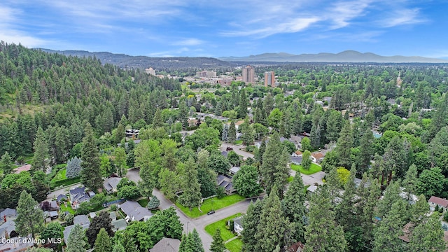 birds eye view of property featuring a mountain view