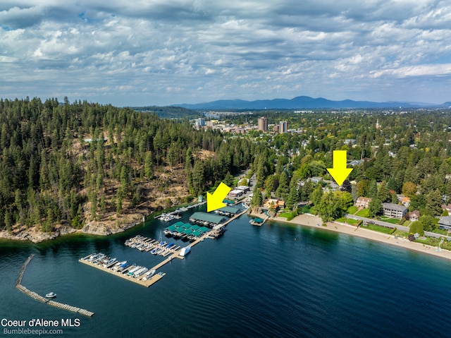 birds eye view of property featuring a water and mountain view