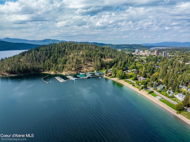 aerial view with a water and mountain view