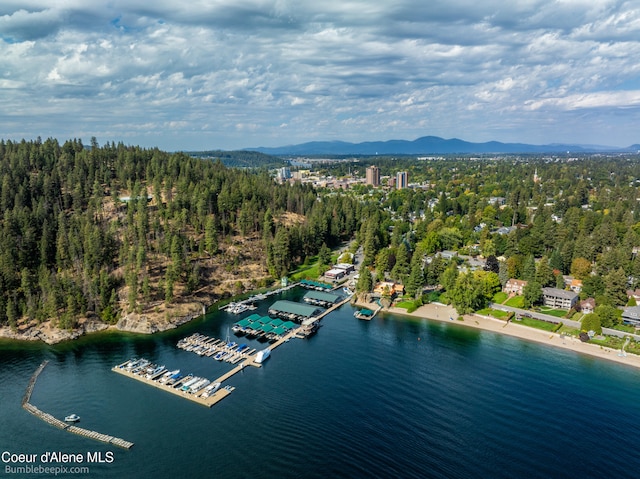 drone / aerial view with a water and mountain view