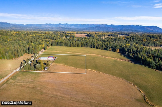 bird's eye view with a view of trees, a mountain view, and a rural view