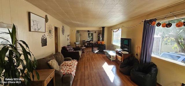 living room featuring wood-type flooring