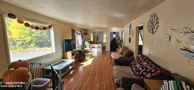 living room featuring hardwood / wood-style flooring