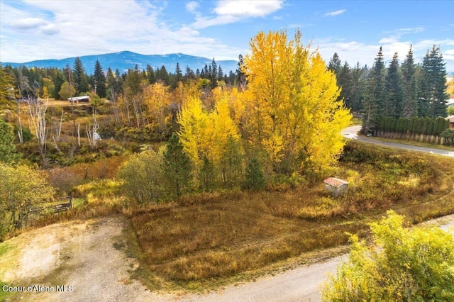 NNA Laughing Duck, Sandpoint ID, 83864 land for sale