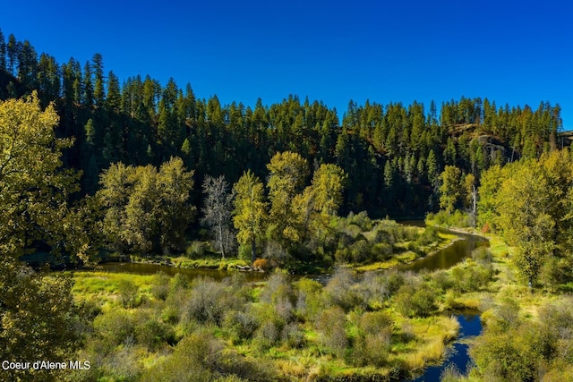 429 Clearwater Dr, Saint Maries, ID 83861