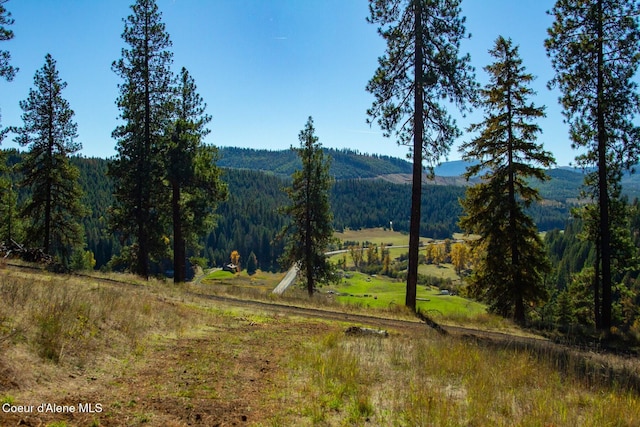 429 Clearwater Dr, Saint Maries, ID 83861