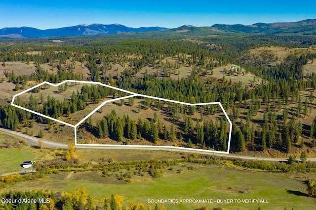 429 Clearwater Dr, Saint Maries, ID 83861