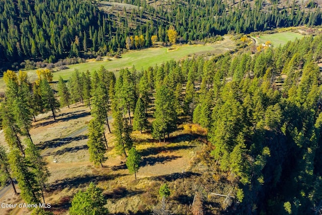 429 Clearwater Dr, Saint Maries, ID 83861
