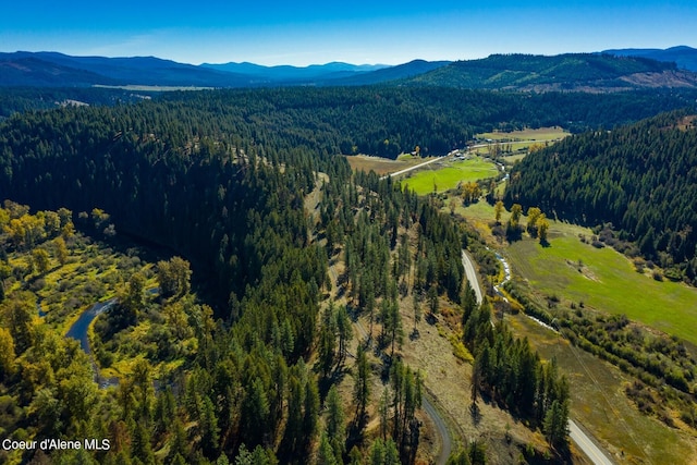 429 Clearwater Dr, Saint Maries, ID 83861