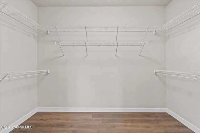 spacious closet featuring hardwood / wood-style floors