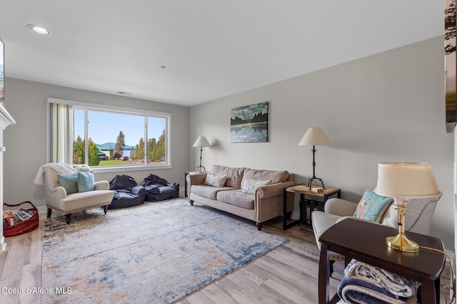 living room featuring light wood-type flooring