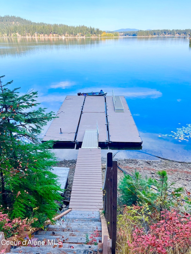 dock area with a water view