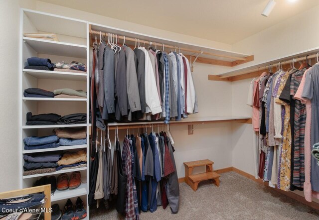 spacious closet with carpet floors