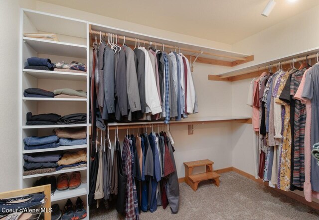 110 Sheri Dr, Moyie Springs, ID 83845 - walk in closet featuring carpet flooring