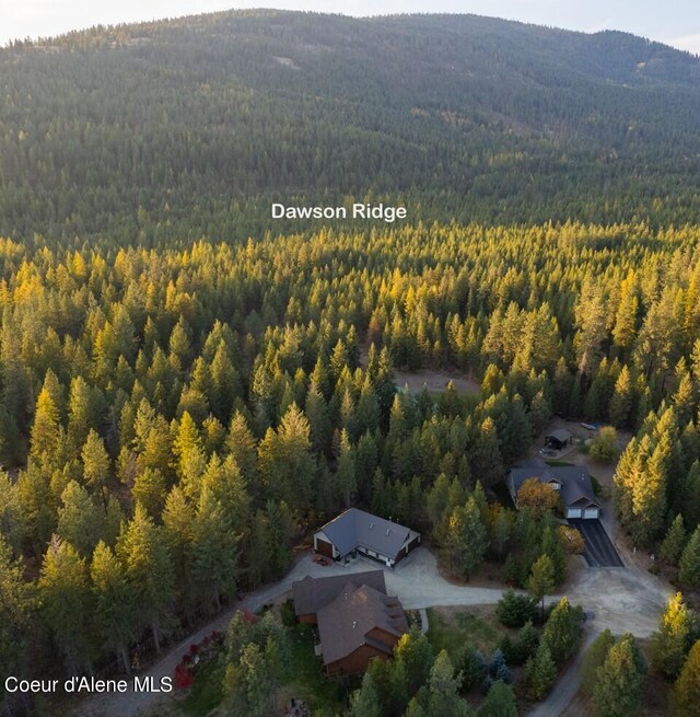 110 Sheri Dr, Moyie Springs, ID 83845 - aerial view of property's location featuring a forest and a mountain backdrop