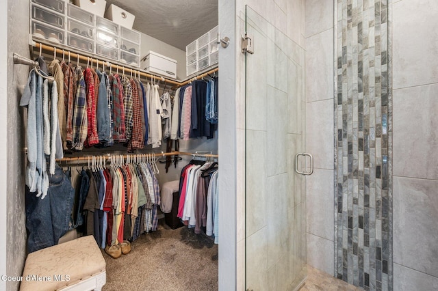 spacious closet featuring carpet floors