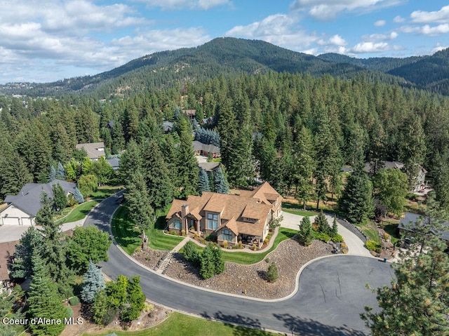 aerial view with a mountain view