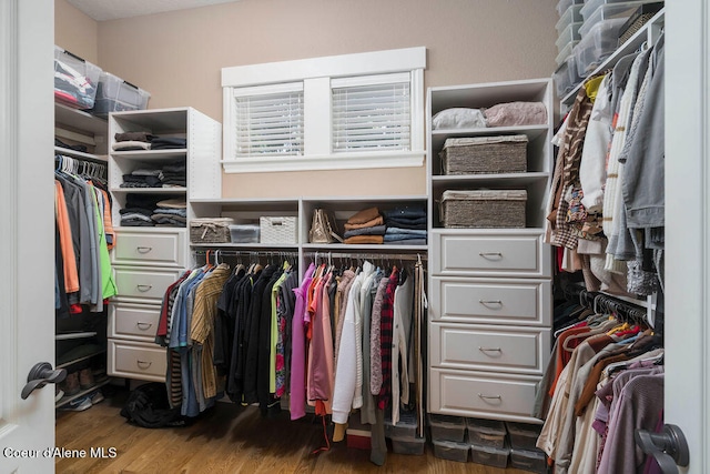 spacious closet featuring hardwood / wood-style floors