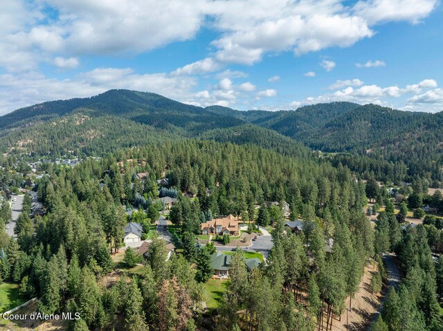 drone / aerial view featuring a mountain view