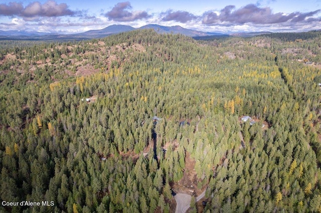 bird's eye view featuring a mountain view