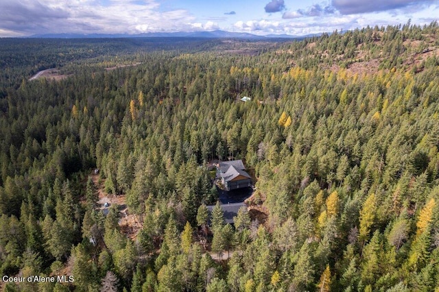 drone / aerial view with a mountain view