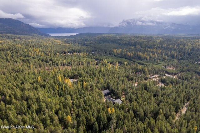 bird's eye view with a mountain view