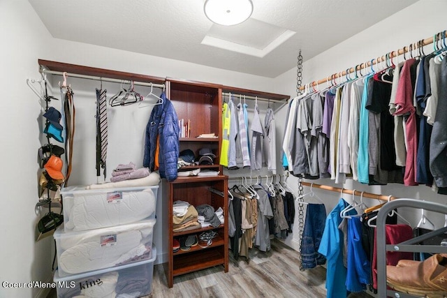 walk in closet featuring light wood-type flooring