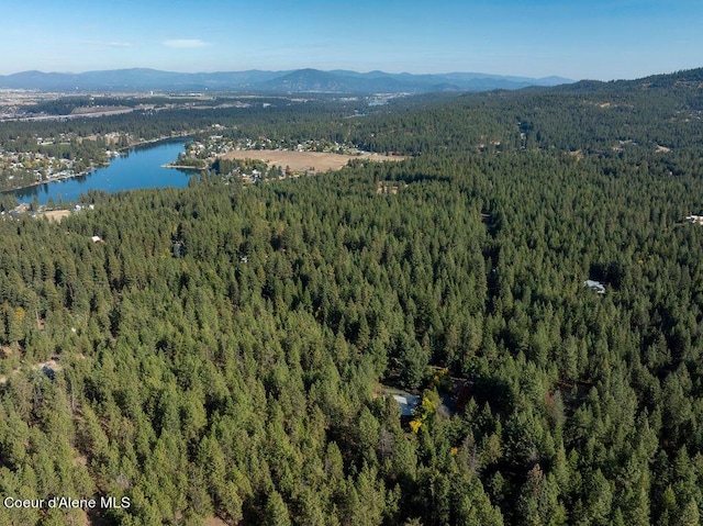 905 S Tanglewood Rd, Post Falls, ID 83854 - aerial overview of property's location with a forest and a water and mountain view