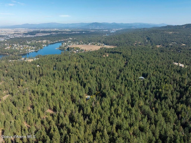905 S Tanglewood Rd, Post Falls, ID 83854 - aerial view of property's location featuring a forest and a water and mountain view