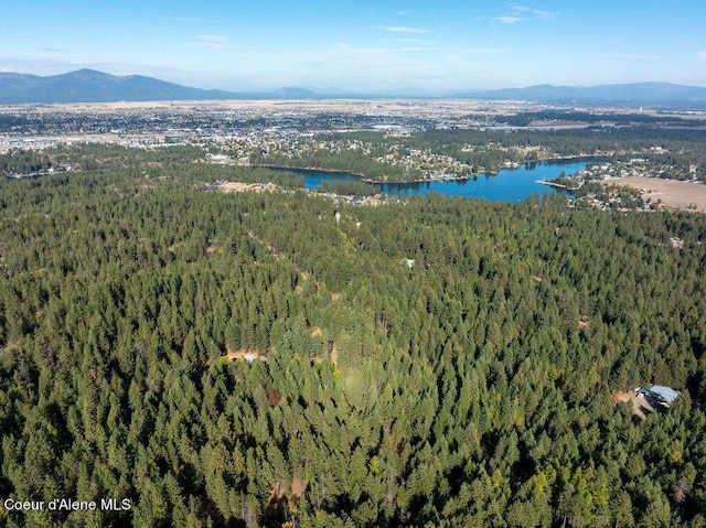 905 S Tanglewood Rd, Post Falls, ID 83854 - aerial overview of property's location featuring a heavily wooded area and a water and mountain view