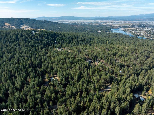 905 S Tanglewood Rd, Post Falls, ID 83854 - view of property location featuring a forest and a water and mountain view