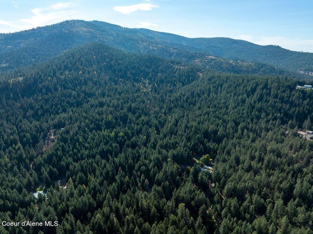 905 S Tanglewood Rd, Post Falls, ID 83854 - view of mountain background featuring a forest