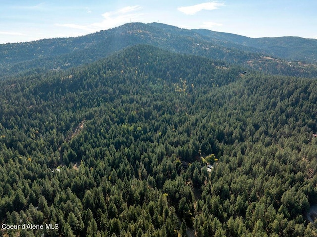 905 S Tanglewood Rd, Post Falls, ID 83854 - mountain view with a forest