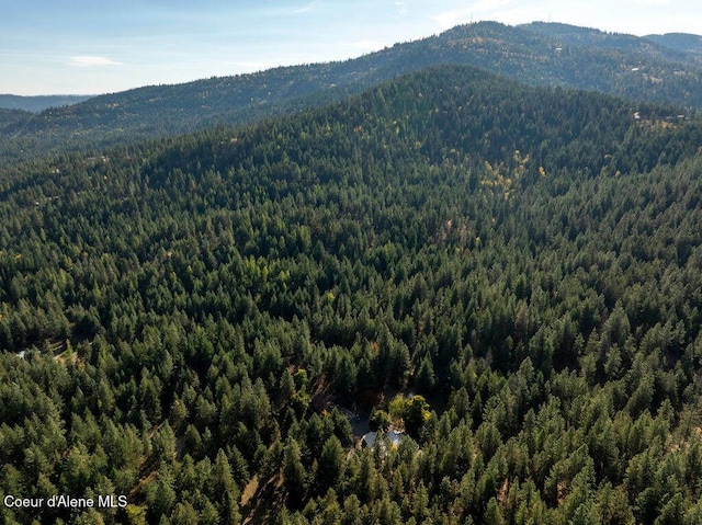 905 S Tanglewood Rd, Post Falls, ID 83854 - view of mountain background with a forest