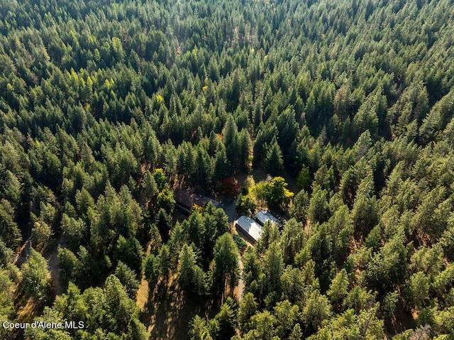 905 S Tanglewood Rd, Post Falls, ID 83854 - aerial view of property and surrounding area featuring a forest