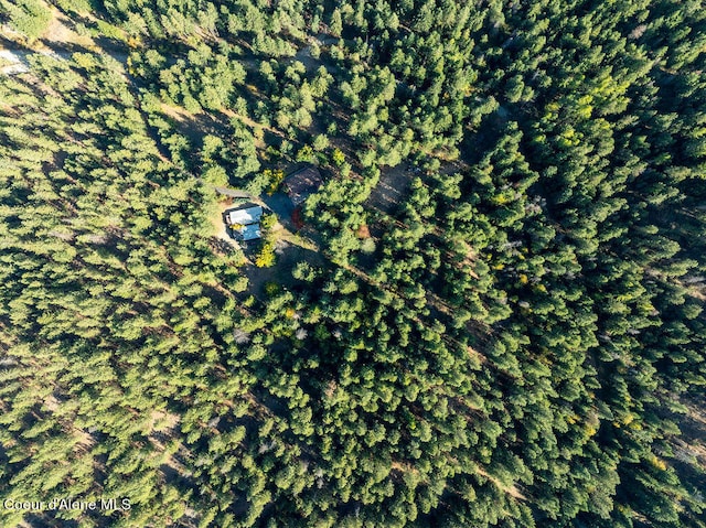905 S Tanglewood Rd, Post Falls, ID 83854 - aerial view of property and surrounding area