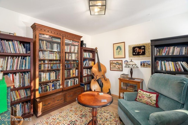 living area featuring light hardwood / wood-style floors