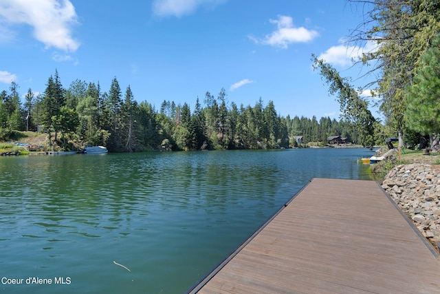 126 Rivers End Dr, Priest River, ID 83856 - photo 13
